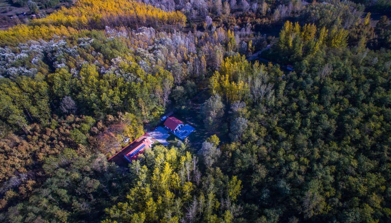 Bagosi Vendeghaz Hotel Hajdubagos Bagian luar foto
